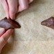 Image for the article titled Your Halloween Party Needs These Chocolate Peanut Butter Cookies